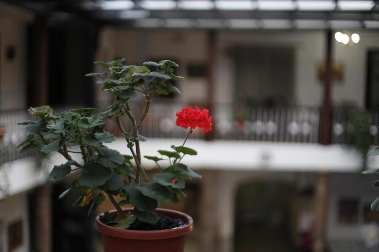 San Marcos Cultural & Guesthouse กีโต ภายนอก รูปภาพ